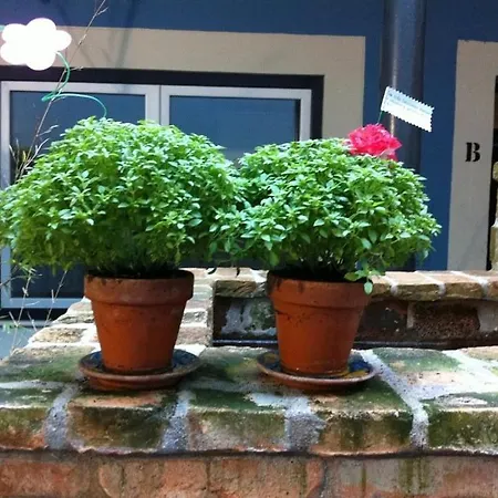 Apartment Casinha Azul *